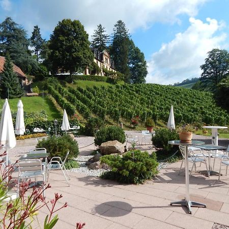 Wein Lodge Durbach - Gruppenhaus Weingut Neveu מראה חיצוני תמונה